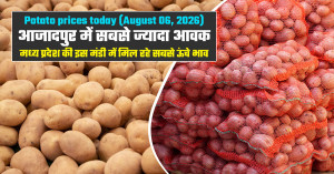आलू का भाव - (06 अगस्त, 2026)
