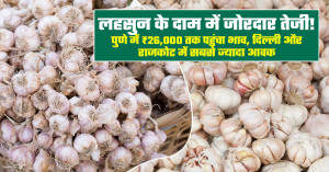 लहसुन का भाव (07 अगस्त, 2026)