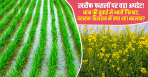 खरीफ फसलों पर बड़ा अपडेट! धान की बुवाई में भारी गिरावट, दलहन-तिलहन में क्या रहा बदलाव?