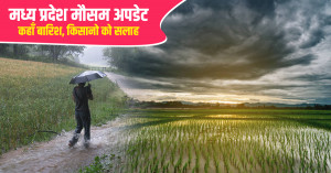 मध्य प्रदेश में 22 से 27 अगस्त तक बारिश का अलर्ट