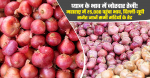 प्याज का मंडी भाव आज का