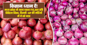 प्याज का भाव (03 सितंबर, 2026)