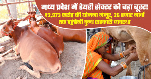 मध्य प्रदेश में डेयरी सेक्टर को बड़ा बूस्ट! ₹2,973 करोड़ की योजना मंजूर, 26 हजार गांवों तक पहुंचेगी दुग्ध सहकारी व्यवस्था
