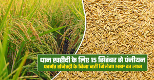 धान खरीदी के लिए 15 सितंबर से शुरू होगा किसान पंजीयन