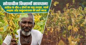 सोयाबीन की फसल को 4 प्रमुख बीमारियों से बचाने के लिए खेत में कीटनाशक का सही छिड़काव करते किसान।