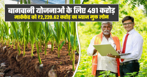 MP Cabinet Decisions: बागवानी योजनाओं के लिए 491 करोड़, मार्कफेड को ₹2,220.62 करोड़ का ब्याज मुक्त लोन