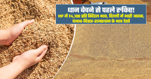 धान का भाव (19 सितंबर, 2026)
