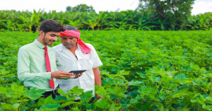 किसानों के लिए बड़ी खबर! MFMB पोर्टल फिर खुला, 27 सितंबर तक कराएं खरीफ फसल का रजिस्ट्रेशन