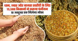 धान, ज्वार और बाजरा खरीदी के लिए 13,508 किसानों ने कराया पंजीयन, 10 अक्टूबर तक मिलेगा मौका