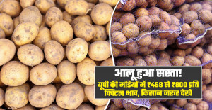 आज आलू का मंडी भाव (28 सितंबर, 2026)