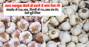 आज लहसुन का मंडी भाव (03 अक्टूबर, 2026)