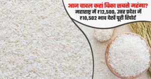 आज चावल का मंडी भाव (06 अक्टूबर, 2026)