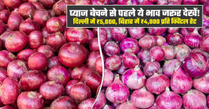 आज प्याज का मंडी भाव (09 अक्टूबर, 2026)