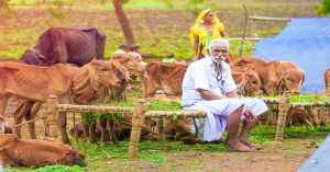 मुख्यमंत्री डेयरी प्लस योजना: पात्र पशुपालकों को मिलेगी 75% तक सब्सिडी, जानें पात्रता और आवेदन प्रक्रिया