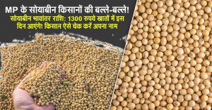 Soybean farmers get more time: madhya pradesh extends bhavantar yojana registration deadline to october 24, 2026