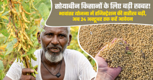Soybean farmers get more time: madhya pradesh extends bhavantar yojana registration deadline to october 24, 2026