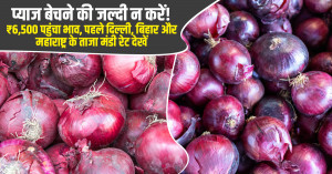 आज प्याज का मंडी भाव (19 अक्टूबर, 2026)