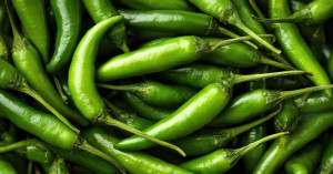 Green chillies mandi bhav (October 31, 2026): दिल्ली में हरी मिर्च ₹6,000 तक, लेकिन MP की इस मंडी में ₹800 प्रति क्विंटल- देखें आज का भाव