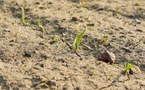 मौसम विभाग की भविष्यवाणी! आने वाले दिनों में 40 डिग्री पार कर सकता है गर्मी का पारा, इन राज्यों में हीटवेव का अलर्ट जारी