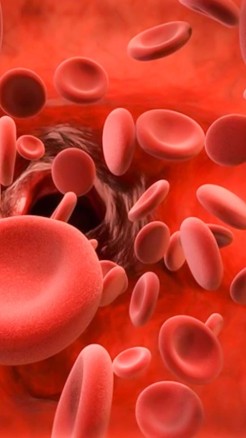 शरीर में खून की कमी को दूर करेगा ये खाते ही दोगुनी तेजी से द...