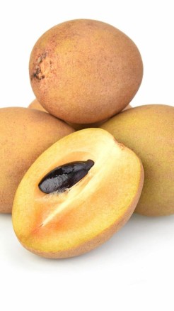 चीकू की खेती से करे लाखों की कमाई जानिए खेती करने का तरीका