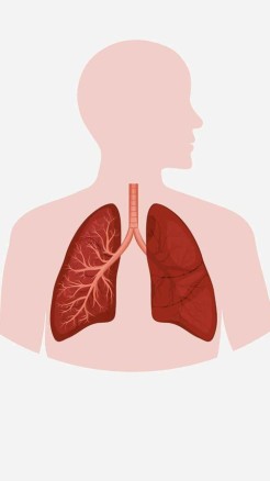 The Unique Benefits of Neem Leaves for Health and Wellness