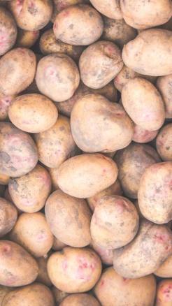 Simple Tips to Prevent Potatoes from Rotting, Keep Them Fres...