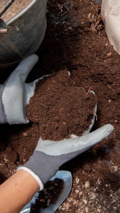 जानिए घर पर कैसे बनाए वर्मीकंपोस्ट