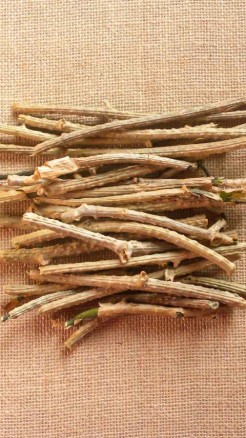 Amazing Benefits of Drinking Boiled Giloy Leaves