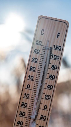 गर्मियों में इस प्रकार करें अपनी मुर्गियों की देखभाल