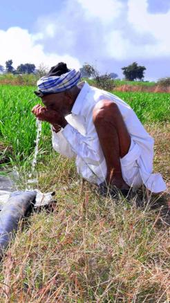Important Tips for Farmers Working in the Fields During Summ...
