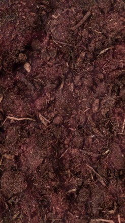 कैसे करें चुकंदर के छिलके का इस्तेमाल, पौधे हो जायेंगे हरे-भ...