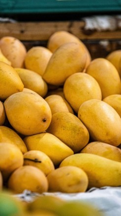 इन तरीकों से करें केमिकल से पके आम की पहचान ताकि इन्हें खाकर...