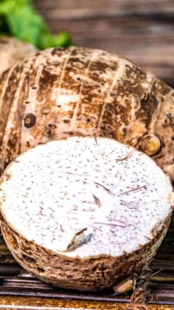 अरबी की खेती से कर सकते हैं जबरदस्त कमाई, जानिए खेती करने का...