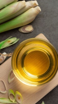 लेमनग्रास की खेती किसानों के लिये मुनाफे का सौदा जाने कैसे क...