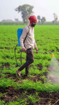 जानें 2024-25 के कृषि बजट में क्या-क्या शामिल है।