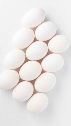 Eat These Amazing Foods for High Protein