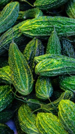 आइए जानते हैं करेले में लगने वाली प्रमुख बीमारियों के बारे म...