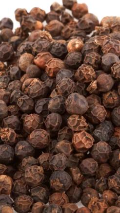Black Pepper – Not Just Spice, But Health Treasure