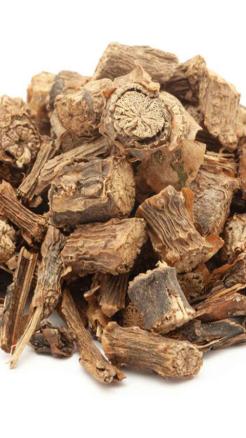 Drink Giloy Tea – Here Are Its Amazing Benefits