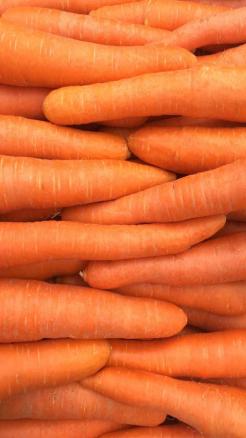 Amazing Benefits of Eating Carrots