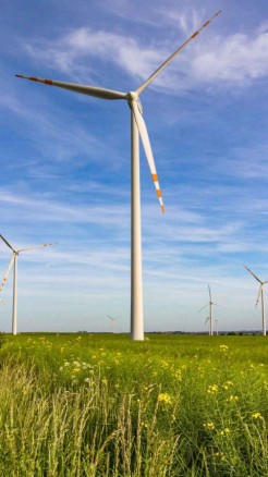 फसल उत्पादन को प्रभावित करने वाले 5 प्रमुख कारक