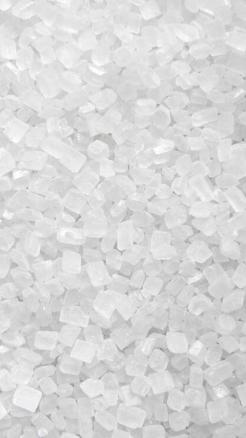 These 5 Best Sugarcane Varieties That Will Give Higher Yield