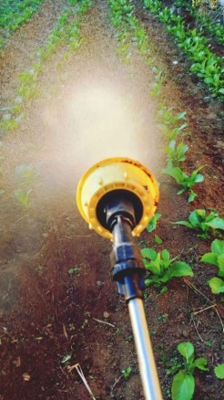 खेती के लिए 10 महत्वपूर्ण सुझाव, खेती में सफलता के लिए विशेष...