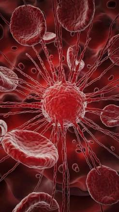 Follow These Traditional Desi Ways for Blood Purification