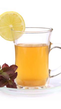 5 Desi Superfoods to Protect You from Monsoon Illnesses