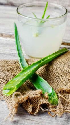 Amazing Benefits of Drinking Aloe Vera Juice on an Empty Sto...