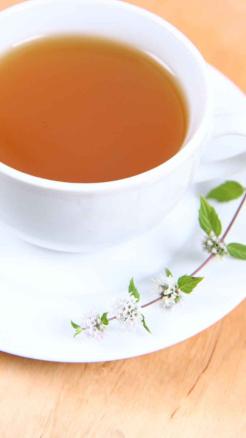 5 Desi Plants That Cool the Body in Summer