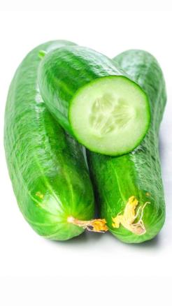 Eat Cucumber in Summer – Its Amazing Benefits