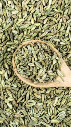 Fennel Seeds - From Digestion to Better Eyesight